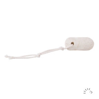 Veilchenwurzel Iris Germanica Veilchenwurzel Iris Germanica